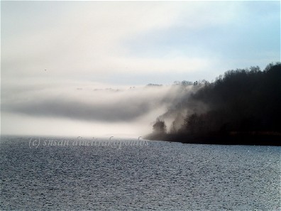 WEBSITE_MISTY_BLUFFS_MORNING_776.JPG