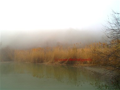 WEBSITE__SCARBOROUGH_BLUFFS_IN_FOG_5498.JPG